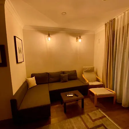 Apartman Lemon Tree With Private Garden In Kaleici *